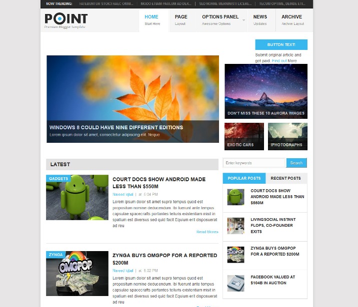 Point Blogger Template