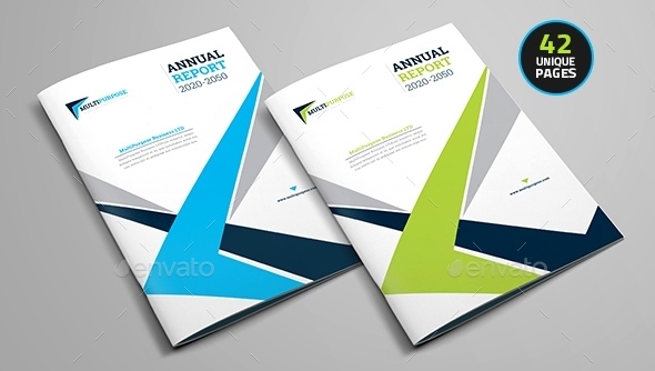 Clean Annual Report Brochure