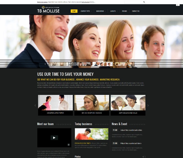 TB Mollise Free Drupal Theme