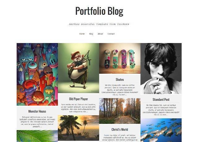 What Is Meant By Portfolio Website