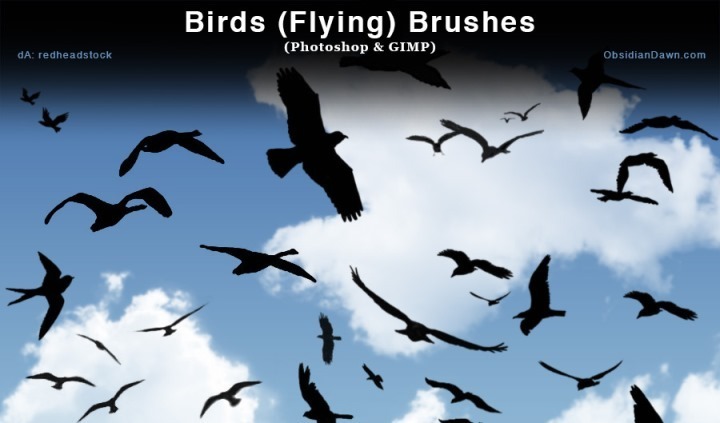 Birds Flying Photoshop Brushes