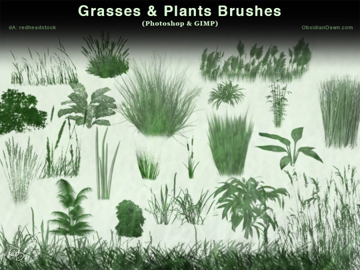 Grasses and Plants Photoshop Brushes