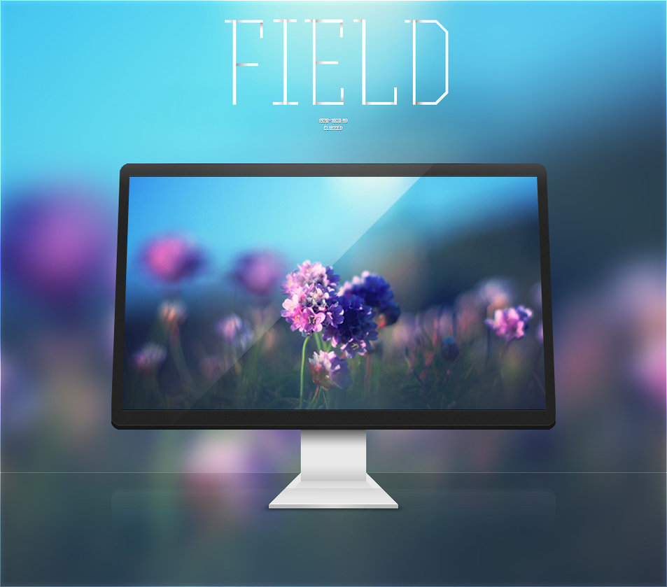 Field Wallpaper