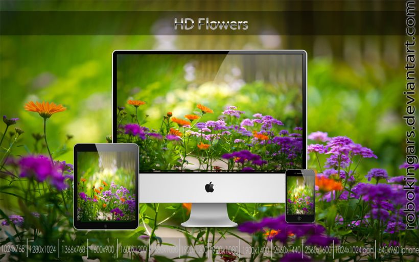 HD Flowers Wallpaper