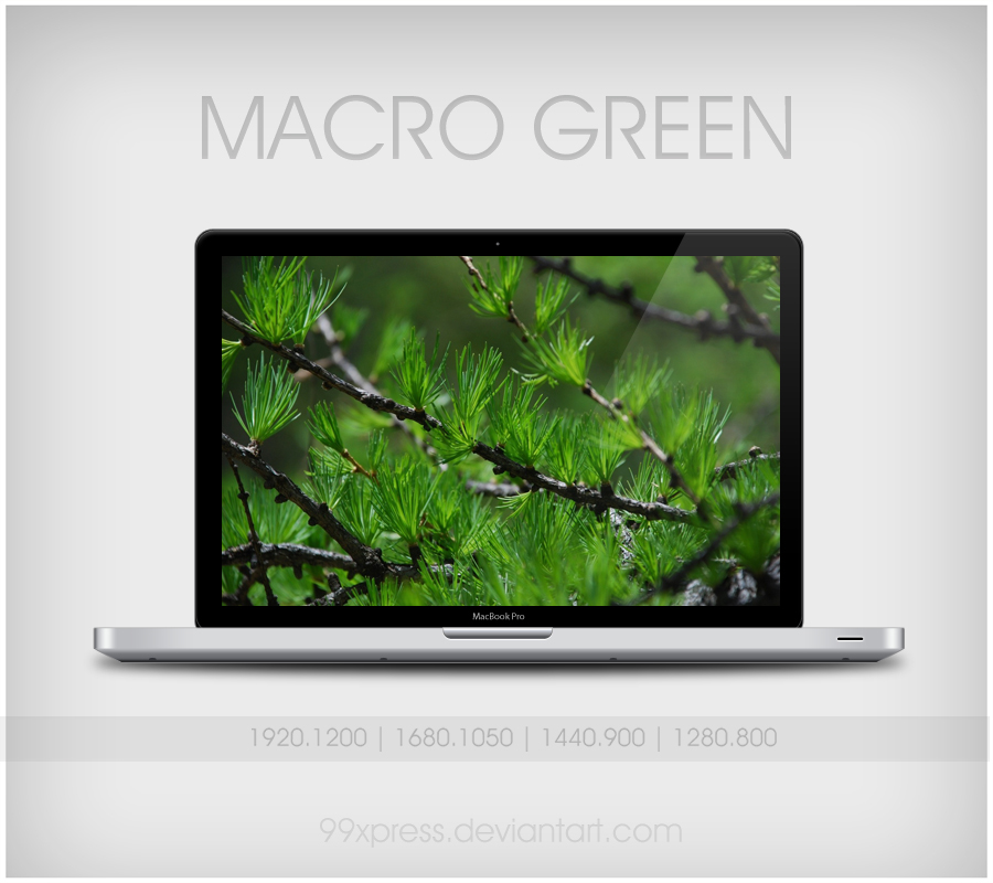 Macro Green
