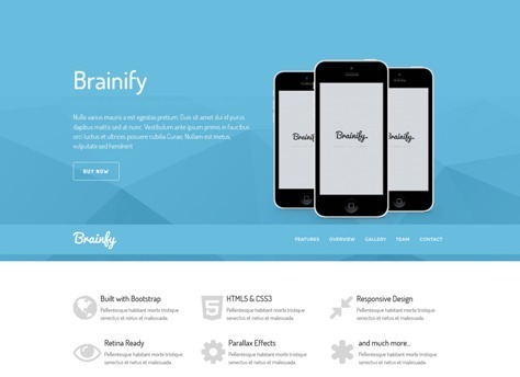 Brainify