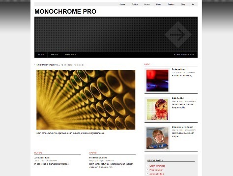 Monochrome Pro
